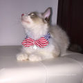 Colar Bowtie bonito para gato Atacado Collar Pet Collar reflexivo Gola Cat Bell